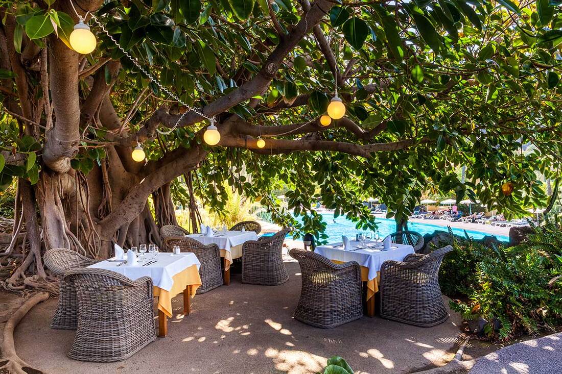 Some tables next to the pool, shaded by a large low hanging tree