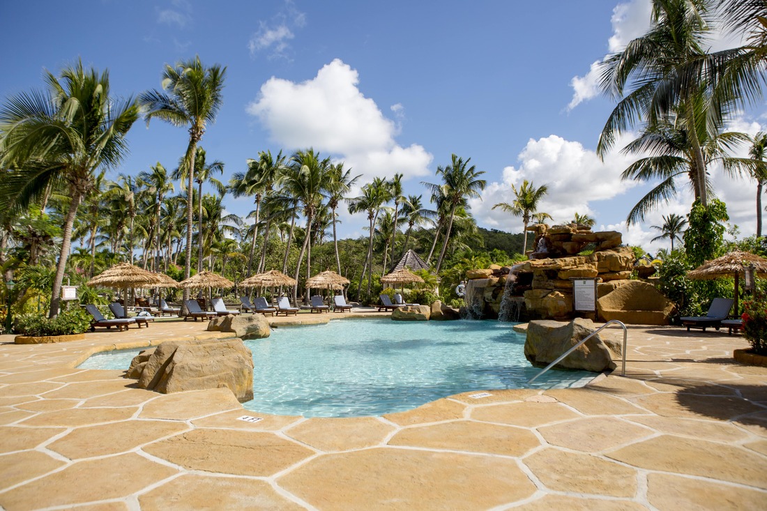 a pool area surrounded by palm trees and sun loungers