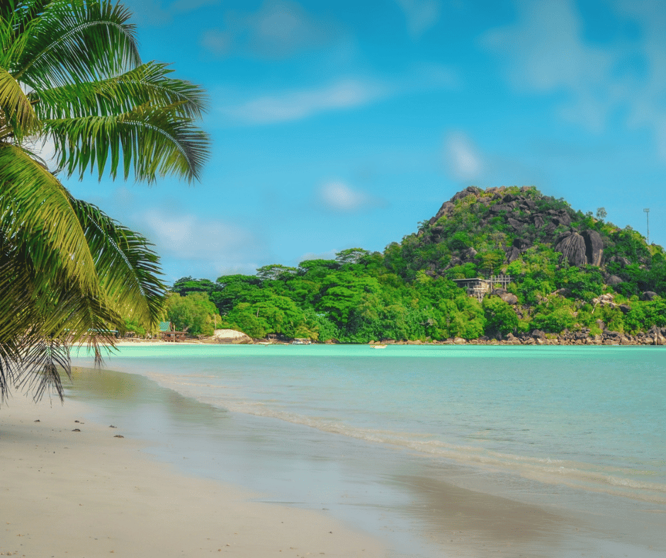 a beach in the seychelles