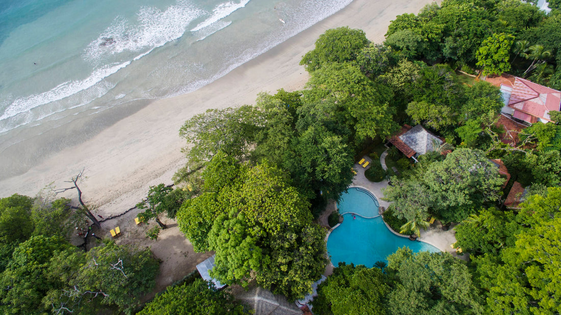 looking down on a hotel on a beach hidden amongst the trees 