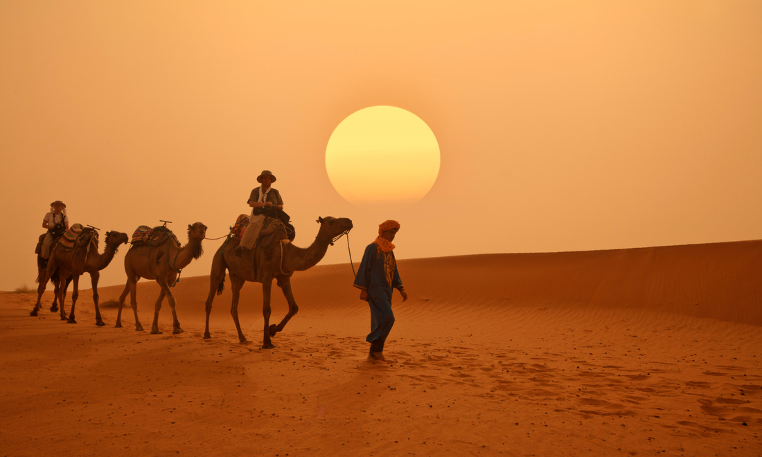 a man leading camels through the desert at sunset