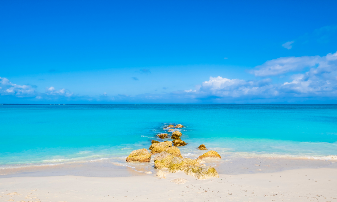 a beach in Turks and Caicos